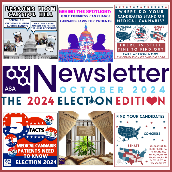 photo of ASA  Newsletter-October 2024: Election Edition image