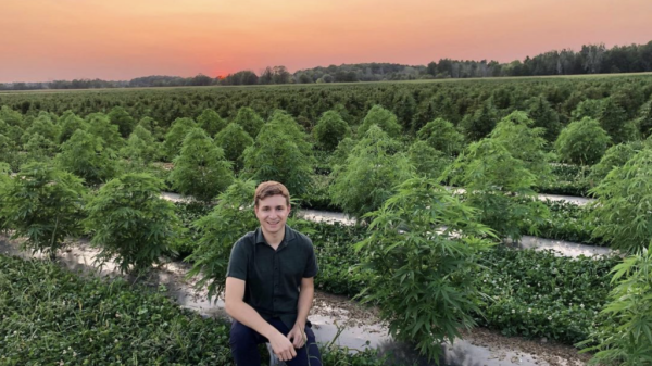 photo of Ontario pot farm awarded over 1/2 a million for minor cannabinoid hemp research image