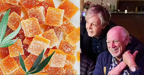photo of Jimmy Buffett's 'The Gummies Just Kicked In' Features Paul McCartney, Inspired by Macca's Wife image