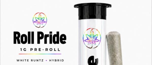 Stockton University Cannabis Professor…