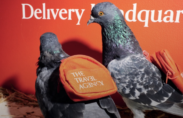 Pigeon pot delivery service excites New…