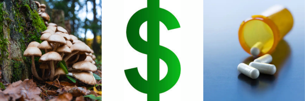 The Commodification of Legal Healing&hellip;