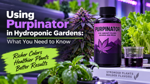 What Should Growers Know About Using…