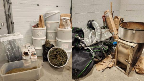 photo of New Brunswick RCMP seize cannabis, equipment following service call image