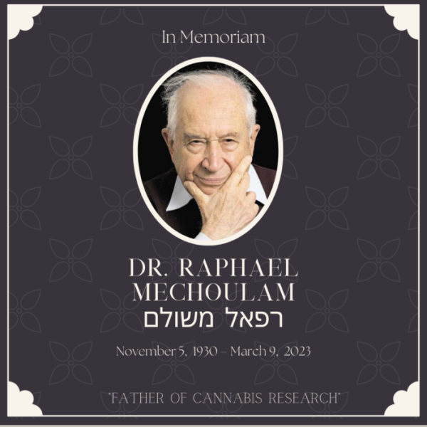 photo of The “Father of Cannabis Research,” Hebrew University of Jerusalem  Prof. Raphael Mechoulam, Dies at 92 image