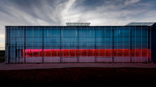 photo of Rubicon Organics reports highest-ever revenue in Q4 2024 image