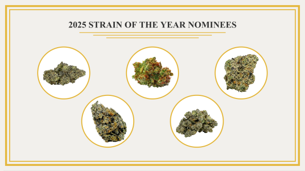 Announcing the nominees for Leafly&hellip;