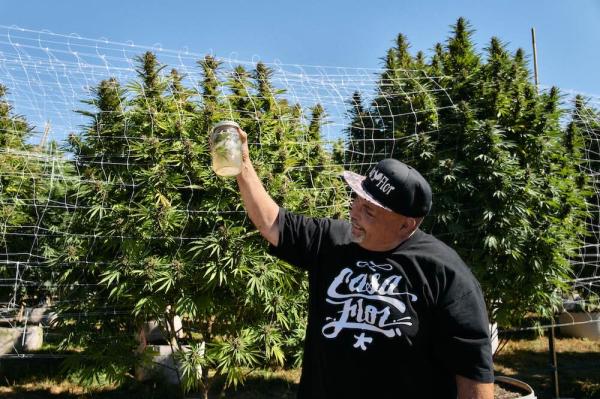 Inside Humboldt Seed Company’s 2025…