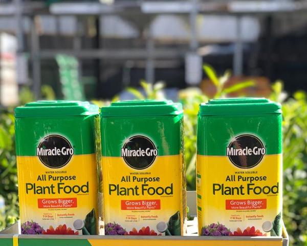 photo of Scotts Miracle-Gro stock plunges 15% on earnings despite revenue increase image