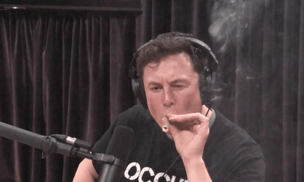 photo of Elon Musk And Ted Cruz Joke About Smoking Marijuana To Boost Podcast Views image
