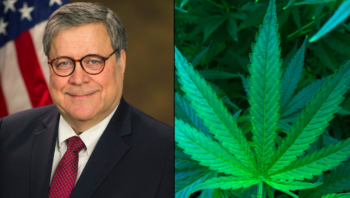 photo of Trump’s Former Attorney General William Barr Calls Pot A “Gateway Drug” image