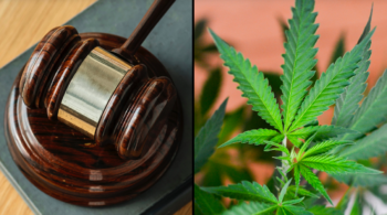 Illinois Supreme Court: Smell of Weed is…