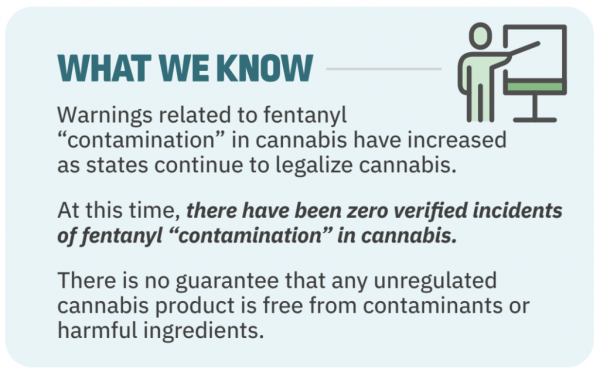 photo of New York Officials Debunk ‘Misinformation’ About Fentanyl-Laced Marijuana image