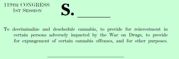 US Senate Democrats Reintroduce…