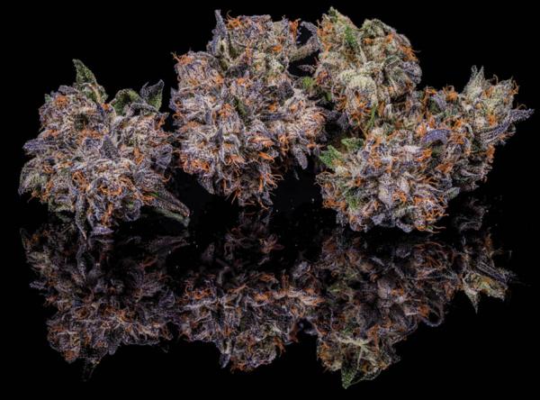 photo of Fire Follower: Hemp Legalization Turbocharges the Clone Scene image