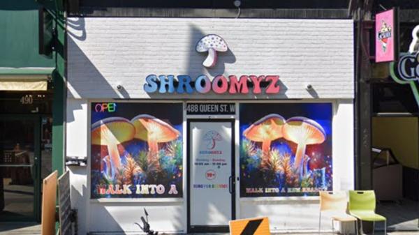 Judge gives psilocybin store employee 60-day sentence, calls for courts to emphasize deterrence and denunciation