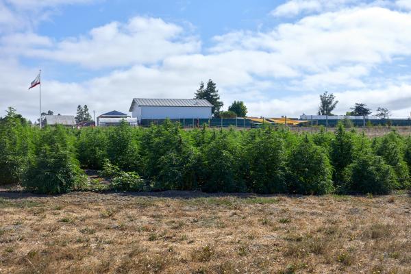 photo of The Michelin-star weed experience at Sonoma Hills Farm image
