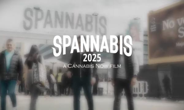 Spannabis Barcelona 2025: The End of an…