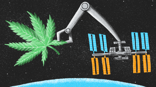 photo of Biotech Company Partners with SpaceX to Send Hemp to Space image