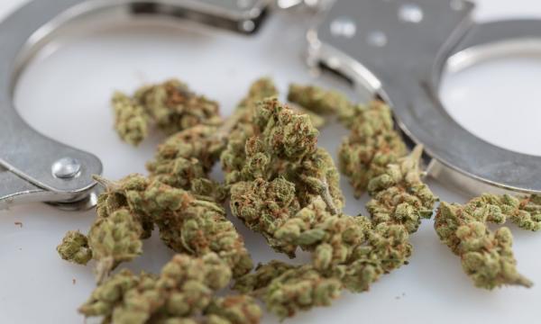 photo of Pennsylvania Police Arrest An Average Of 32 People For Marijuana Possession Every Day, New Data Shows As Lawmakers Weigh… image