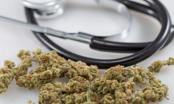 photo of Top Doctors Group Calls For Marijuana Decriminalization And Urges Better Evidence-Based Education On Cannabinoids image