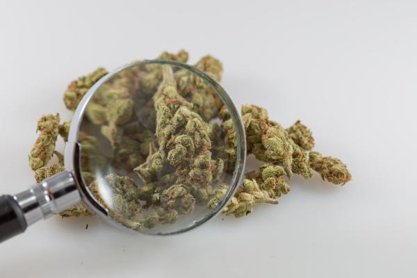 Missouri Officials Will Begin…