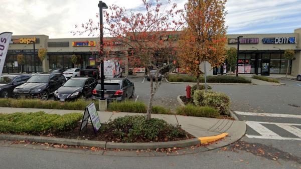 Surrey approves two more cannabis stores