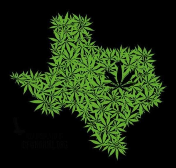 photo of Texas is 40th state to legalize medical cannabis image