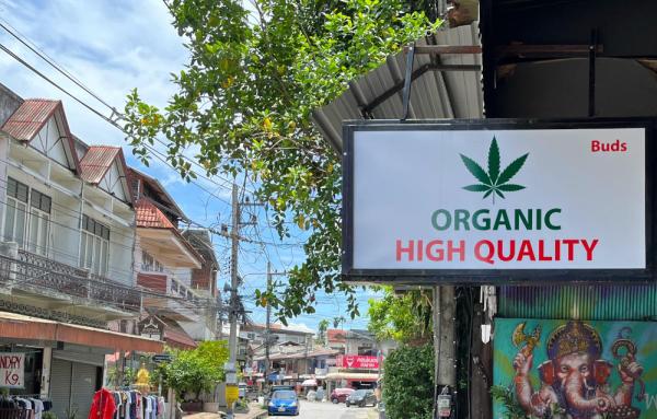 Thai cannabis advocates plan rally over…