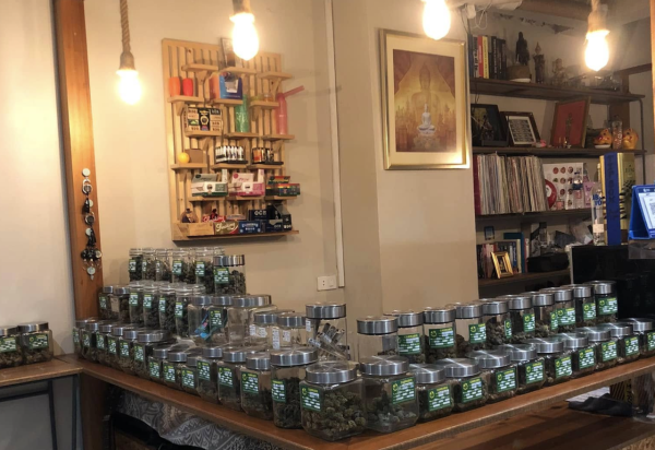 Thailand gets pro-cannabis prime…