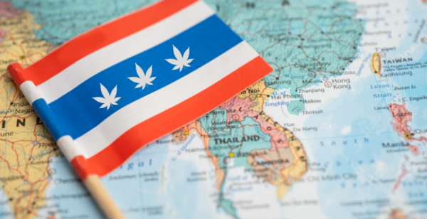 photo of Thailand Legalized Cannabis - What Now? image