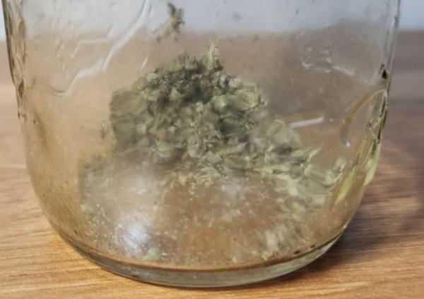 The Meaning of 4/20 for Me