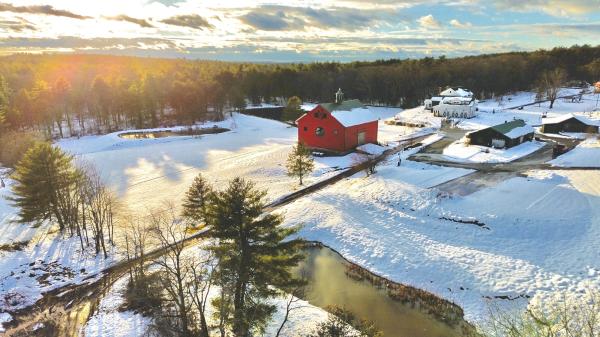 photo of Torrwood Farm grows their cannabis in living, 200-year-old soil image