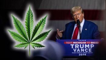 photo of Trump in Shift Backs Marijuana Legalization If Done ‘Correctly’ image