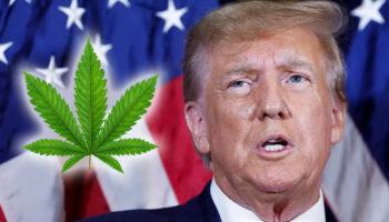 photo of Trump Backs Federal Marijuana Rescheduling And Cannabis Banking Bill image