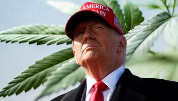 What Can We Expect From Trump On Cannabis Reform?