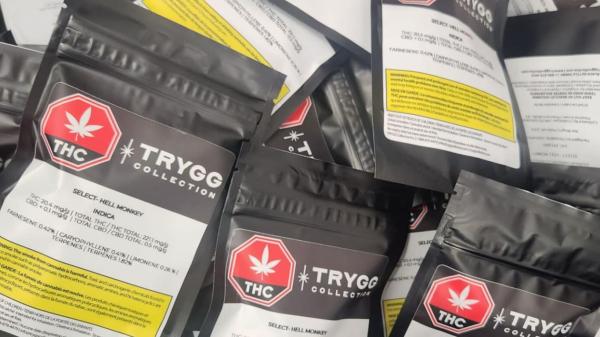 photo of TRYGG Collective acquires Tricanna Industries through RVO image