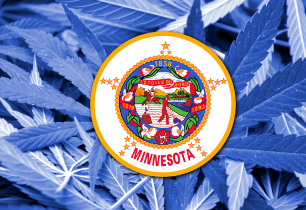 How to Acquire a Minnesota Cannabis&hellip;