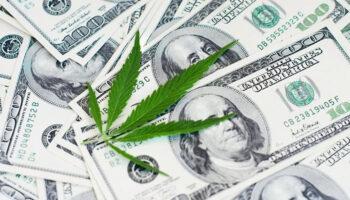 Cannabis Sales Hit Record In October,…