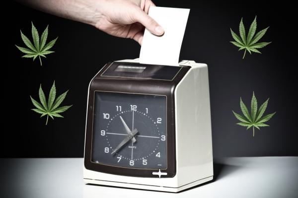 photo of Legal weed may have an unexpected workplace benefit image