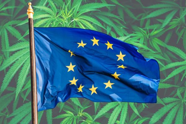 The next cannabis “green rush” may not&hellip;