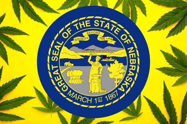 Nebraska medical cannabis survives&hellip;