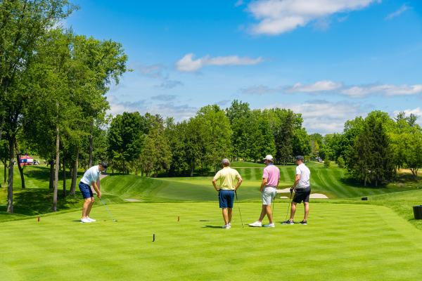 A Summer on the Green With Vlasic…