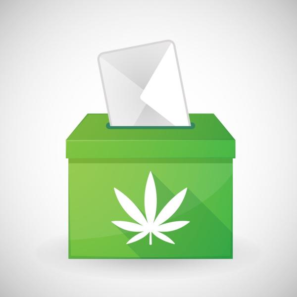 photo of Nebraska medical marijuana legalization makes November ballot image