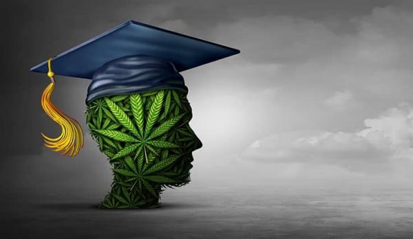 photo of Colorado University Announces New Degree in Cannabis Science image