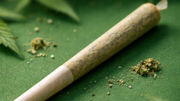 Pre-Rolls Done Right: Inside Cannabis’s Fastest-Growing…