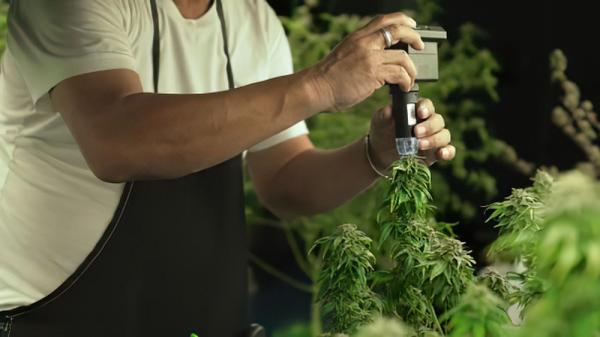 Croptober Starts Now..
