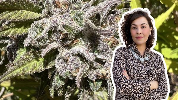 Cannascience: The Healing Potential of&hellip;