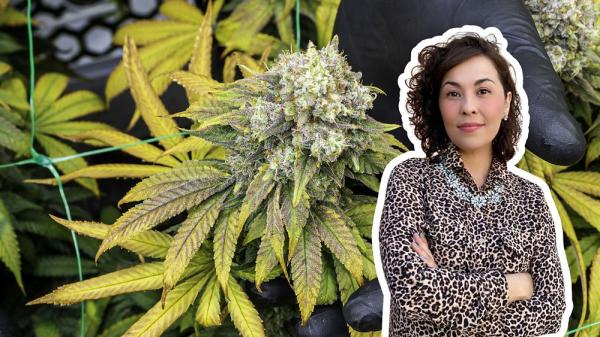 Cannascience: Perimenopause, Cannabis,…