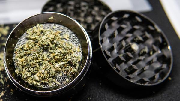 From Weekends to Weeknights: How Cannabis Use Is Spreading…